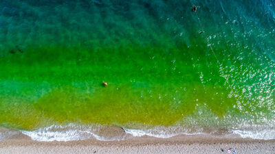 Denizin rengi değişti... Korkup çıktılar!