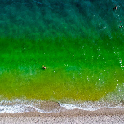 Denizin rengi değişti... Korkup çıktılar!