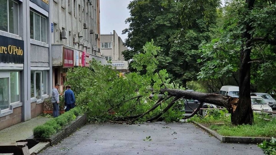 Rusya'da Maysak tayfunu hayatı felç etti!