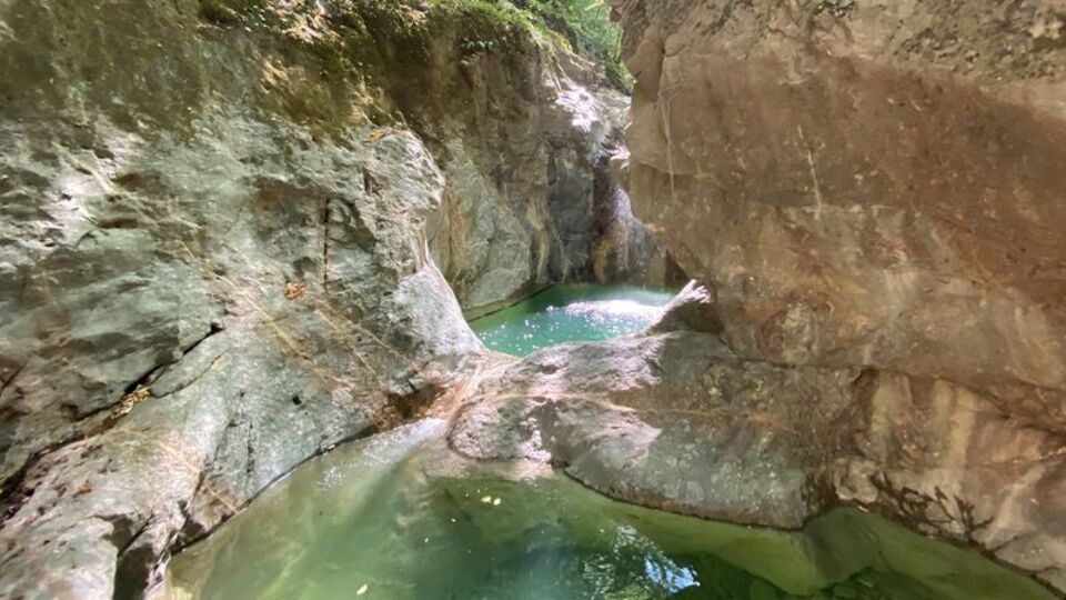 Muhtar tesadüfen buldu!