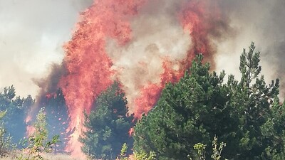 Çorum ve Sinop sınırında korkutan yangın!