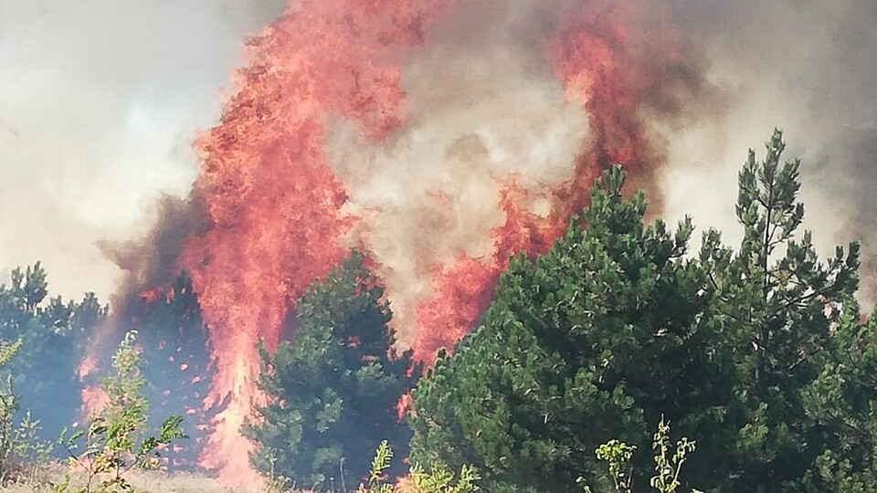 Çorum ve Sinop sınırında korkutan yangın!