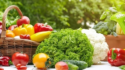 Organik gıda ve organik tarım