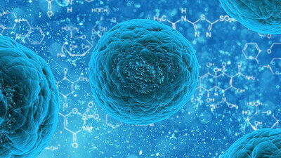 Uzayda 3 yıl hayatta kalan 'süper bakteri' keşfedildi