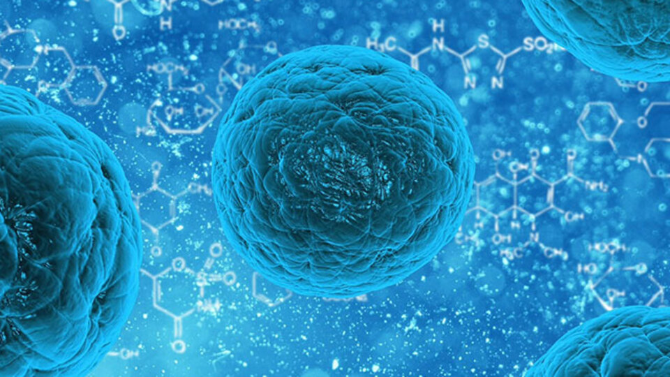 Uzayda 3 yıl hayatta kalan 'süper bakteri' keşfedildi