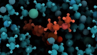 Amino asitlerin işlevleri ve yararları