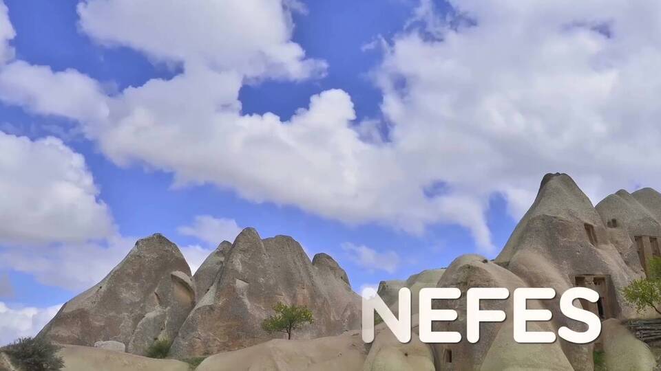 Tüm dünya ile birlikte ilk kez kutlandı: Temiz Hava Günü