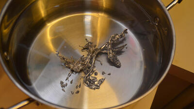 Anadolu'da kurşun döktürme geleneği