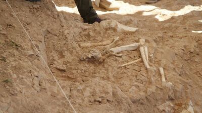 Kayseri'de gün yüzüne çıkarıldı... "Müthiş örneklerle karşılaştık"