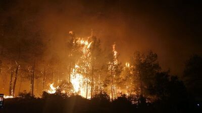 Manavgat'ta korkutan orman yangını!