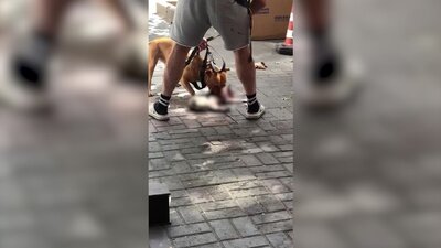 'Sahipsiz' vahşetine ceza!