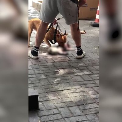 'Sahipsiz' vahşetine ceza!