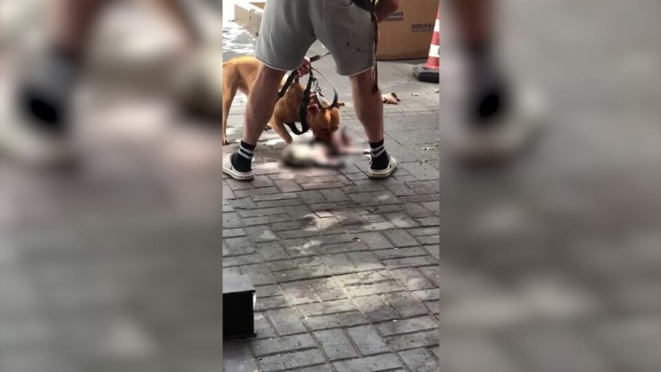 'Sahipsiz' vahşetine ceza!