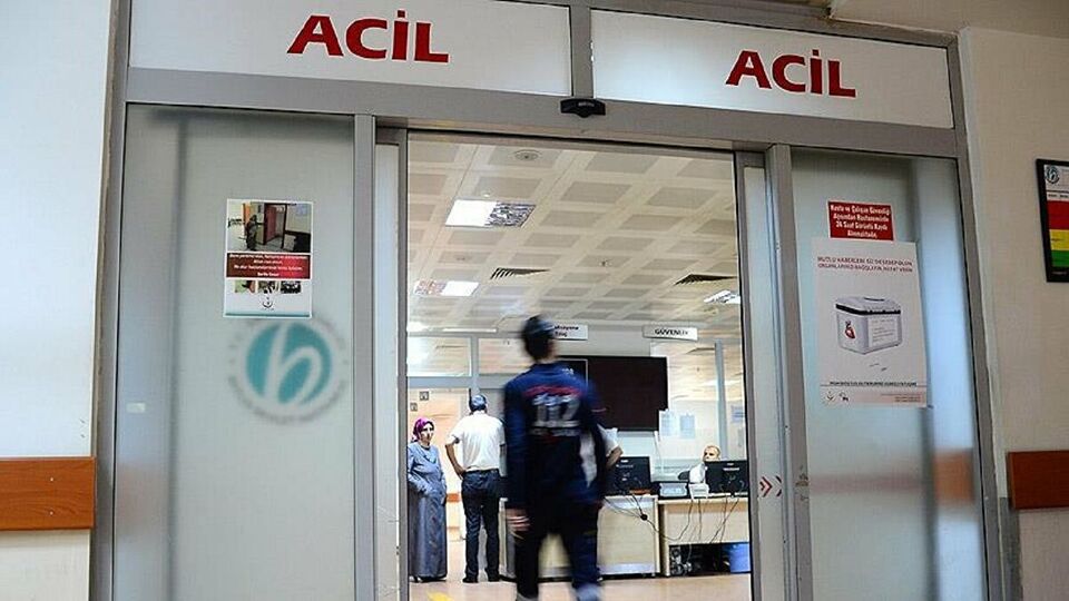 Domuz sandı arkadaşını vurdu