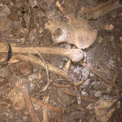 Defineciler talan etti... Açığa çıktı