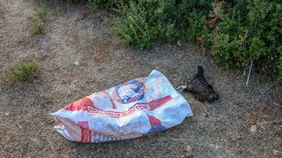 Vicdansızlık! Aç ve susuzluktan öldüler