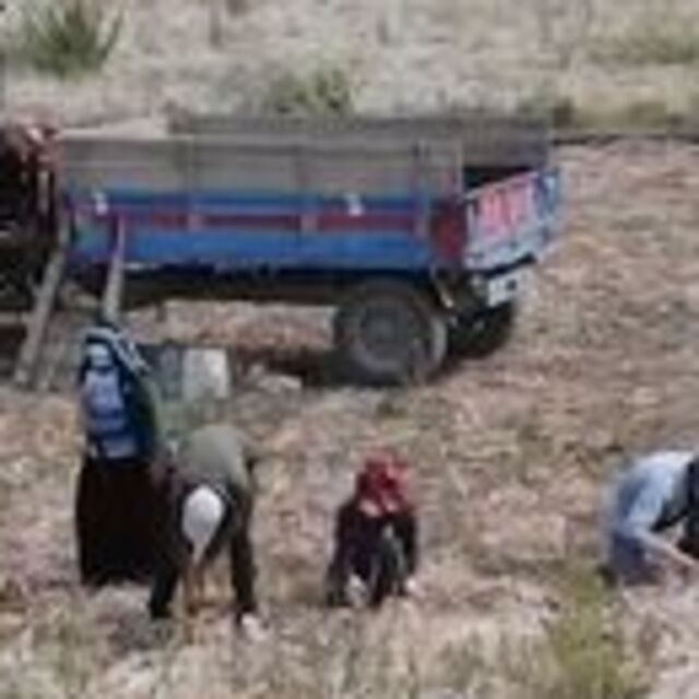 Mevsimlik işçiler yurtlarda karantinaya alınacak