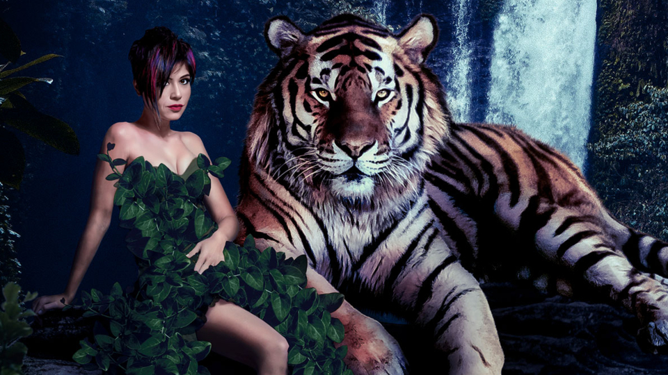 Aydilge'den 'Bir Kedim Var'