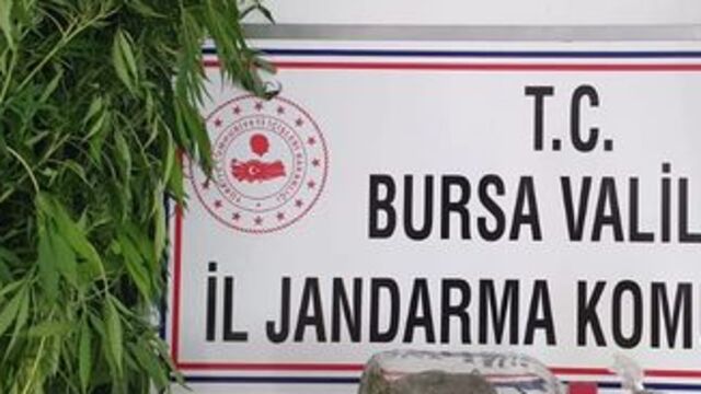 Bursa'da uyuşturucu operasyonu