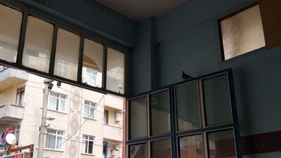 Esnaftan takdir toplayan davranış