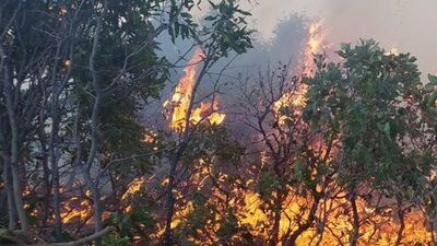 Elazığ'da orman yangını devam ediyor