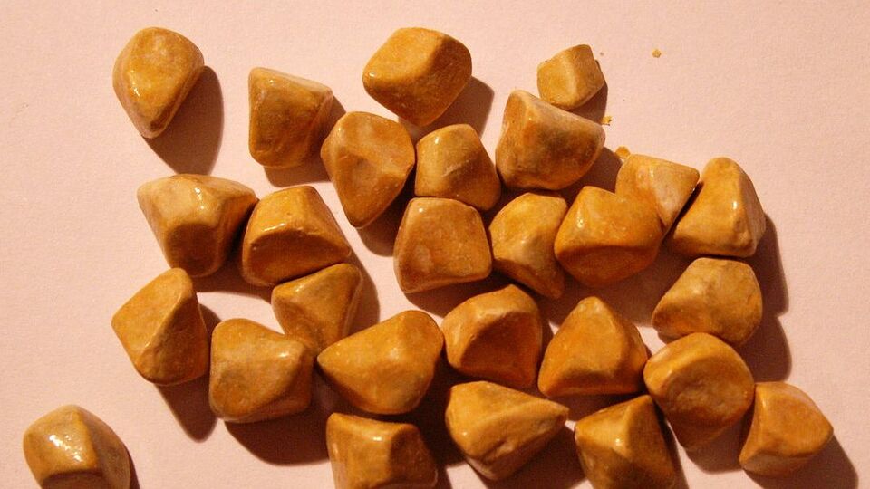 Safra kesesi taşı tedavisi