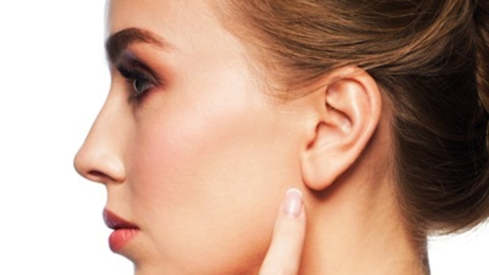 Kulağın bölümleri ve işitmenin gerçekleşmesi