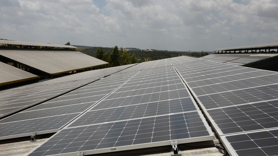 İlk yerli panellerin montajı başladı