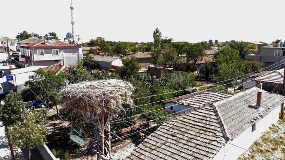 Leylek yuvalarına 'drone'lu bakım