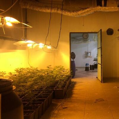 Şoke eden olay! Fabrika değil uyuşturucu çiftliği!