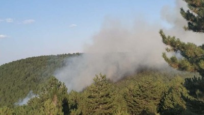 Kütahya'da 1 hektarlık alan küle döndü