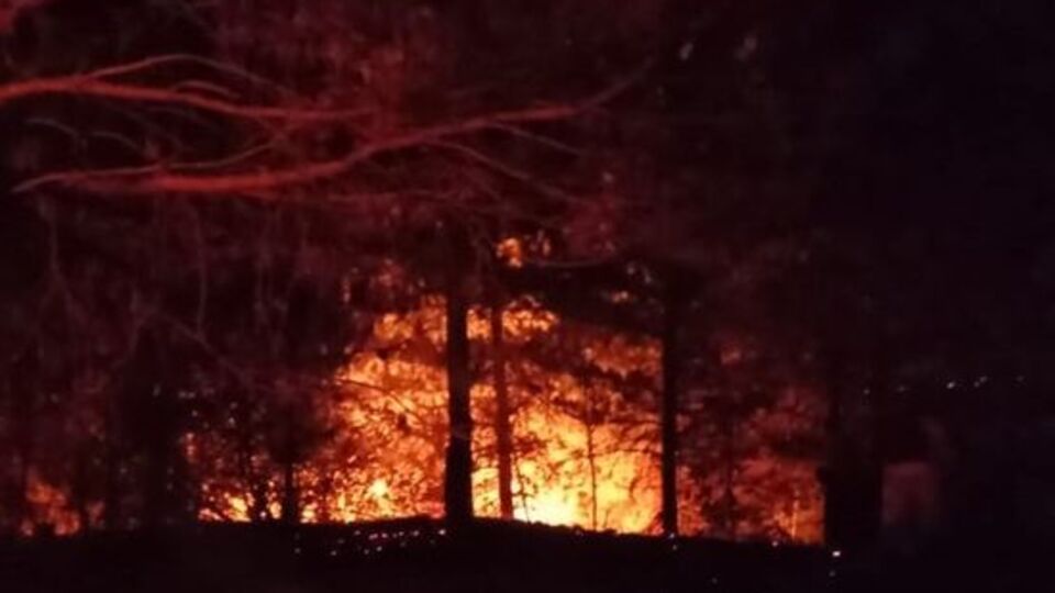 Kastamonu'da orman yangını