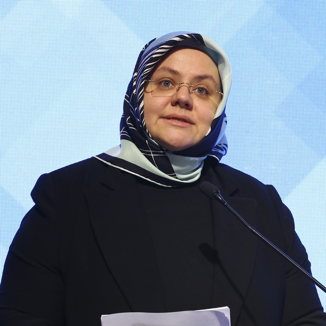 Bakanlık gazilere verilen destekleri açıkladı