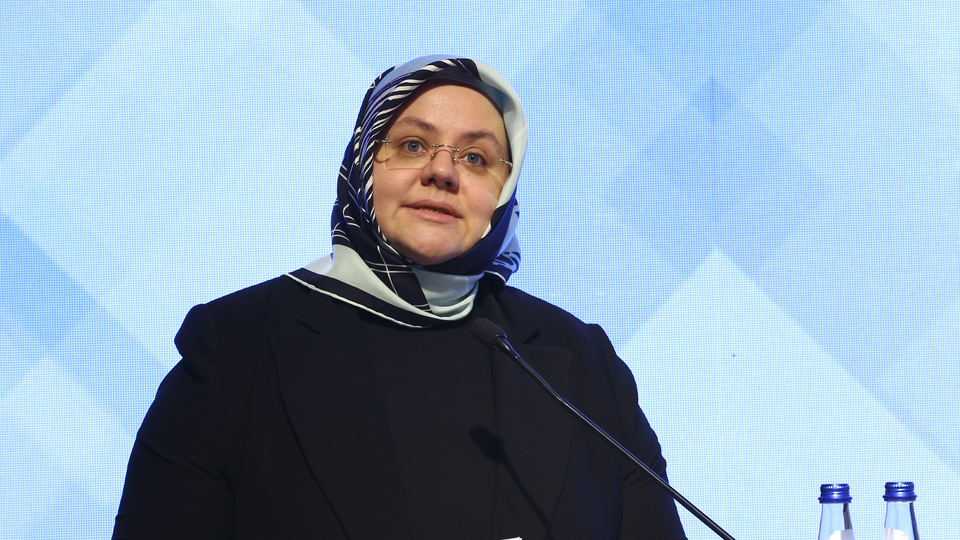 Bakanlık gazilere verilen destekleri açıkladı