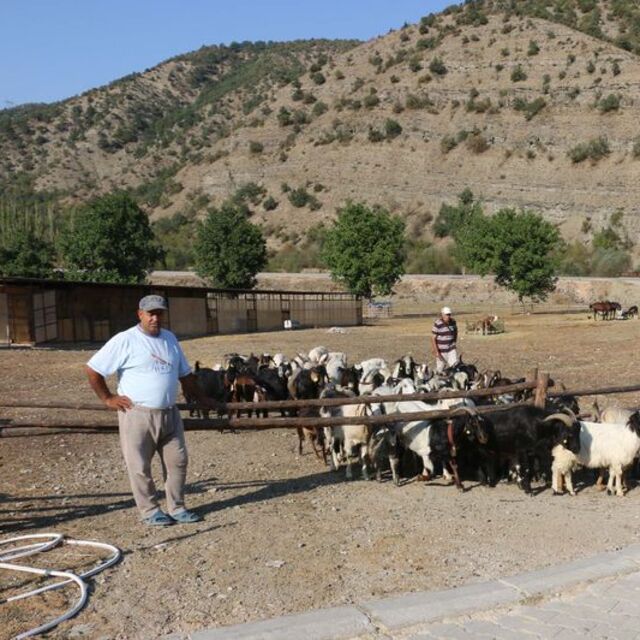 Hiç görmeden aldığı araziyi çiftliğe dönüştürdü