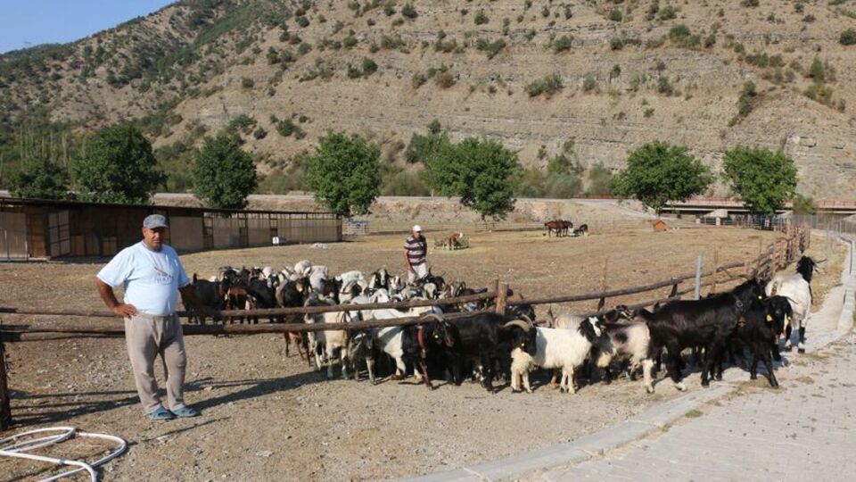 Hiç görmeden aldığı araziyi çiftliğe dönüştürdü