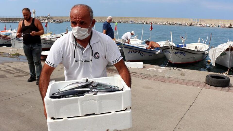 Palamuttan güzel haber!