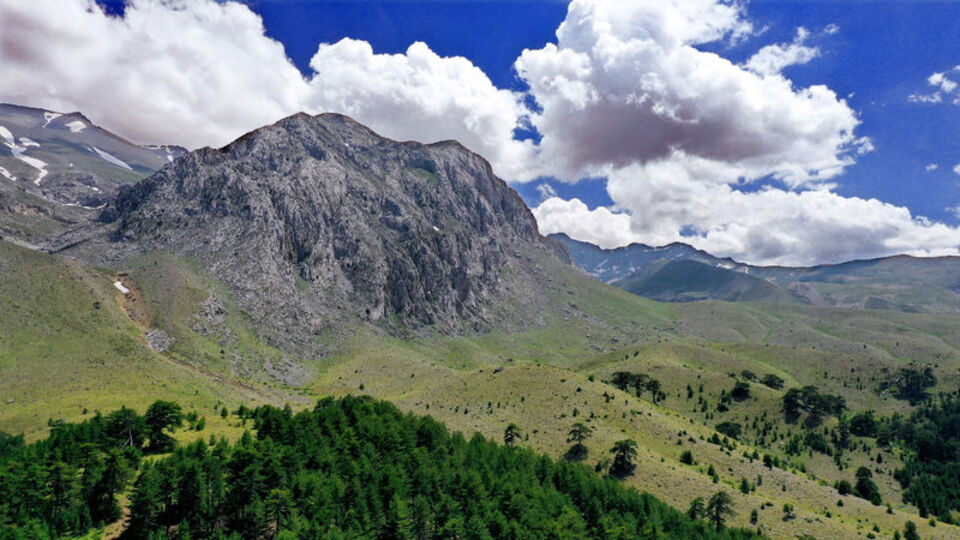 Burası Konya! Saatlerce yürüyerek ulaşıyorlar