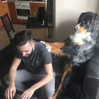 Bilim insanı paylaştı... Akım başladı