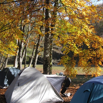 Karantinadan kaçıp, kampa gittiler