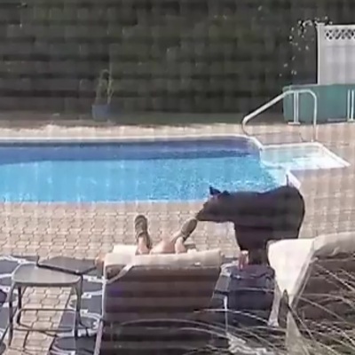 Davetsiz misafir ev sahibini böyle uyandırdı!