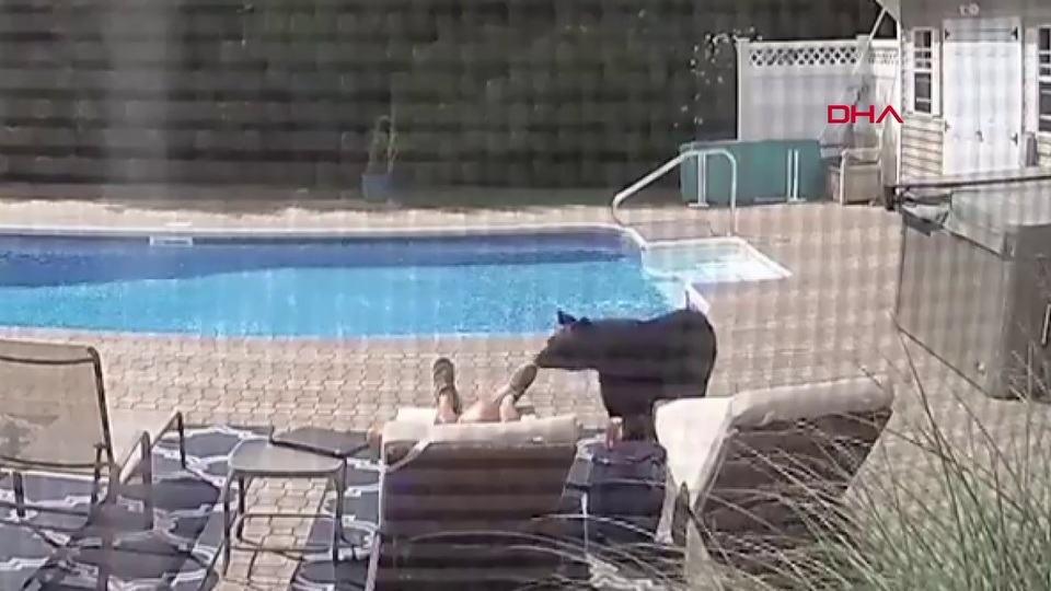 Davetsiz misafir ev sahibini böyle uyandırdı!