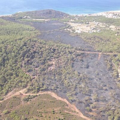 Ayvalık'ta yürekler de yandı!