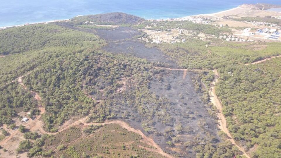Ayvalık'ta yürekler de yandı!