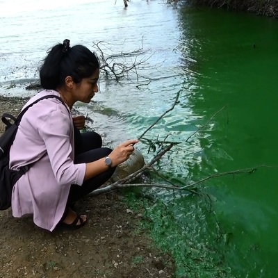 Göle kimyasal atık döktüler!