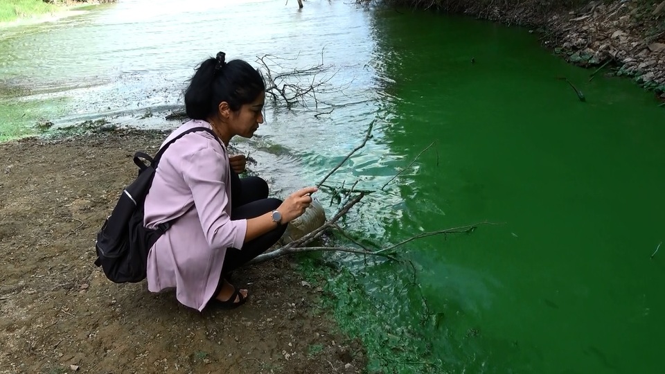 Göle kimyasal atık döktüler!