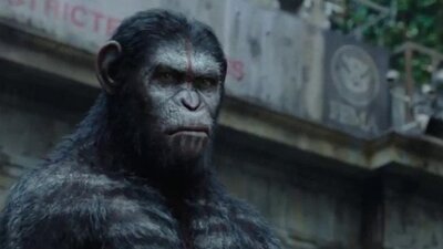 Maymunlar Cehennemi Savaş oyuncuları ve konusu