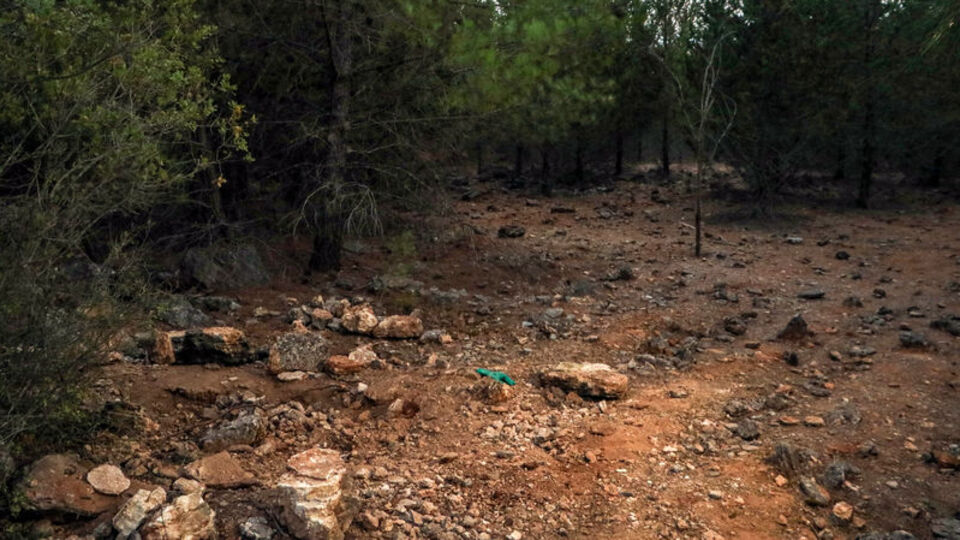 Ölü bulunan Duygu'nun annesi yürek yaktı