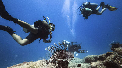Dalış turizminin adresi: Kaş