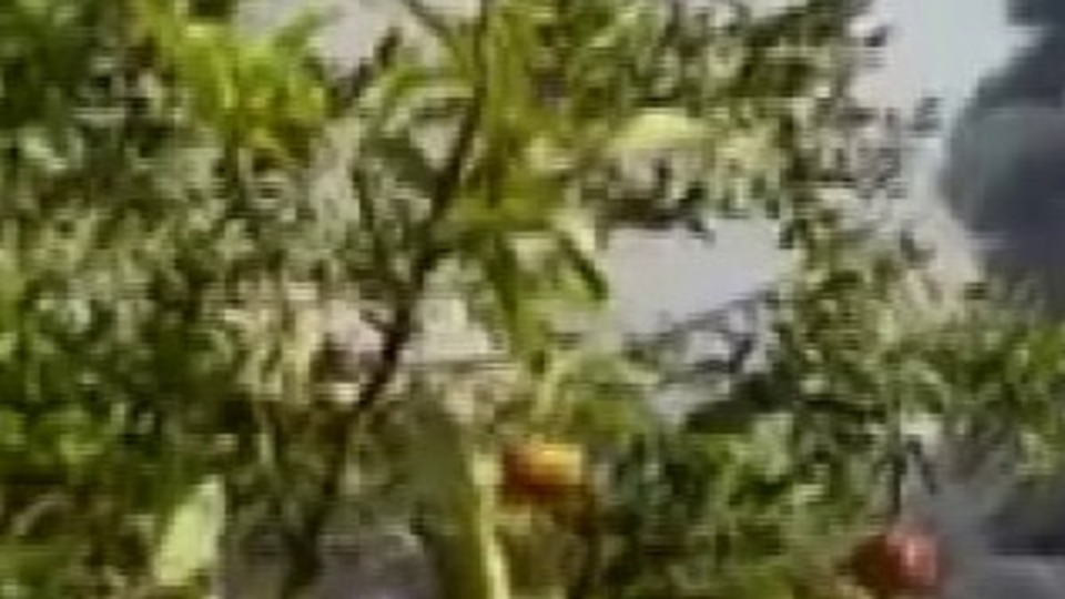 Lübnan'da Hizbullah'a ait evde patlama iddiası